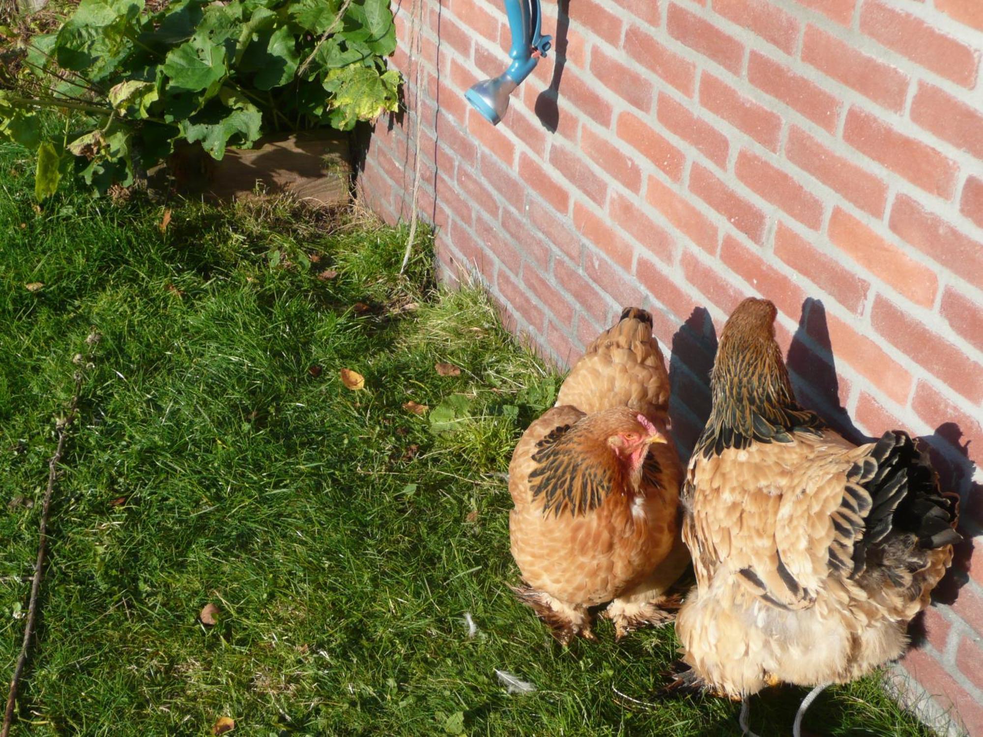 Slaopen En Stoet Bed & Breakfast Anderen Exterior photo